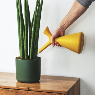 Plants Store Gallery Img 2 1