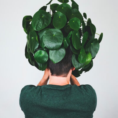 Plants Store Gallery Img 3 1